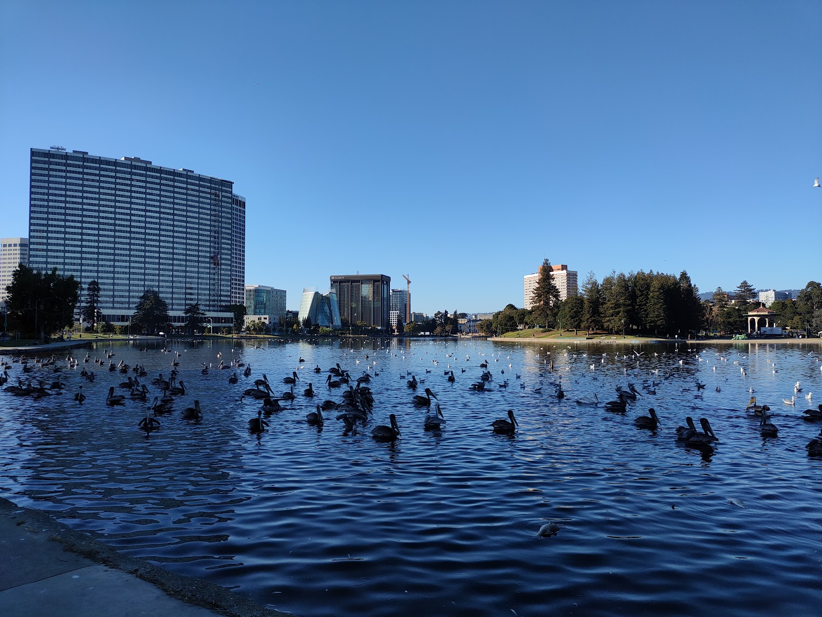 Oakland