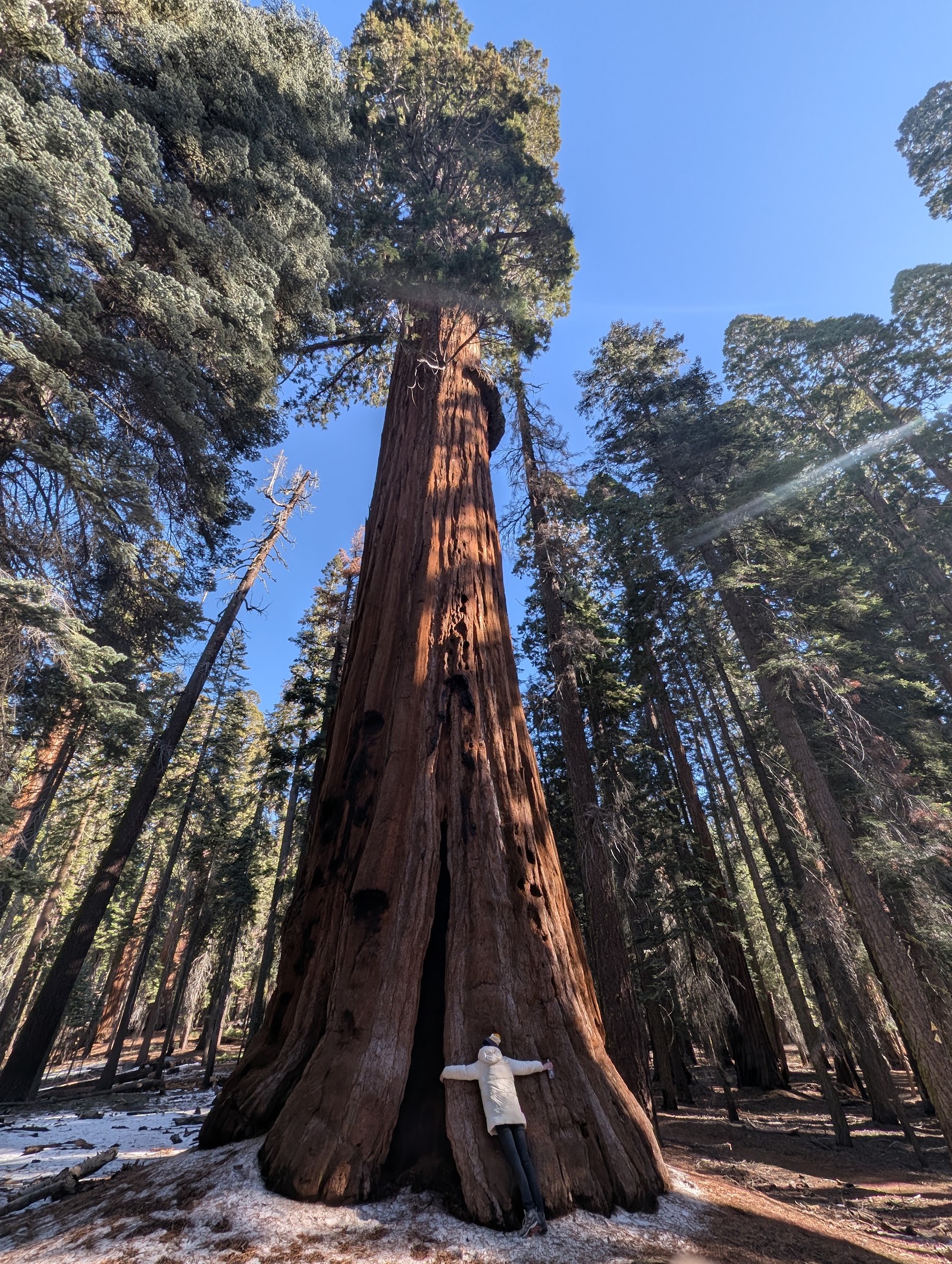Sequoia and Kings Canyon National Park
