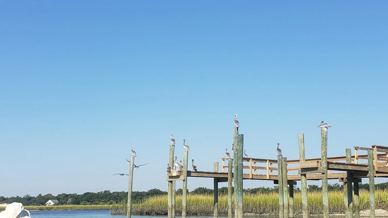 Folly Beach