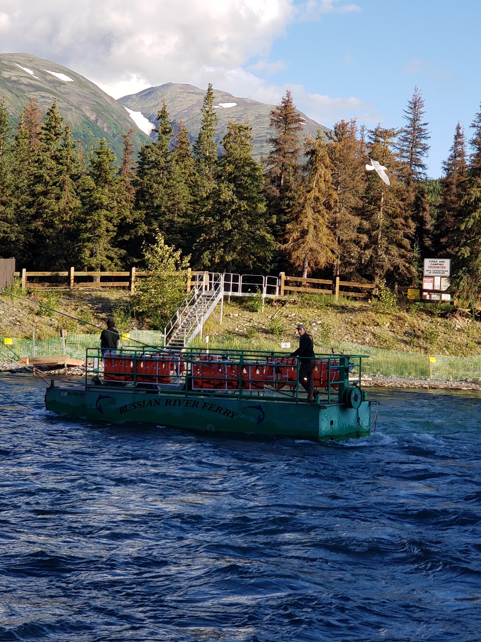 Kenai