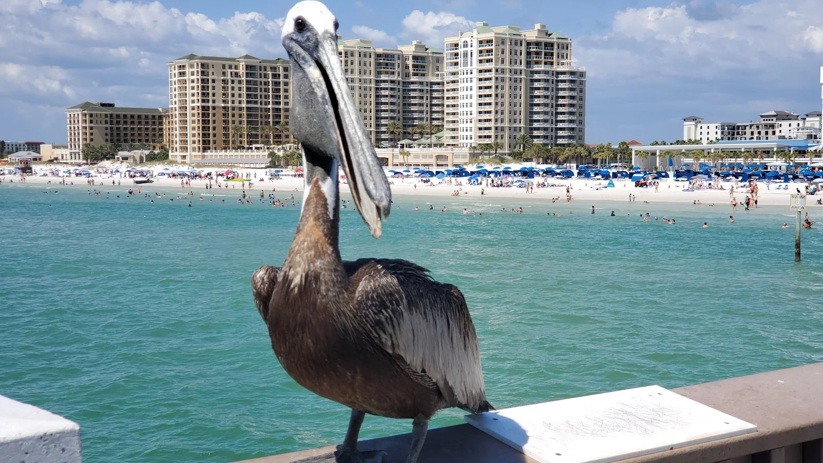 Clearwater