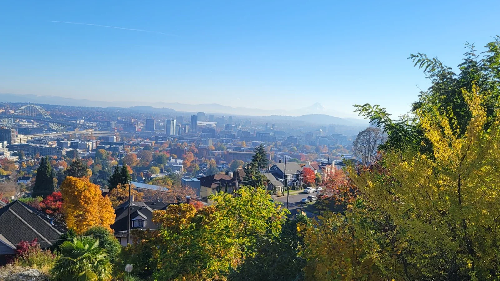 Portland