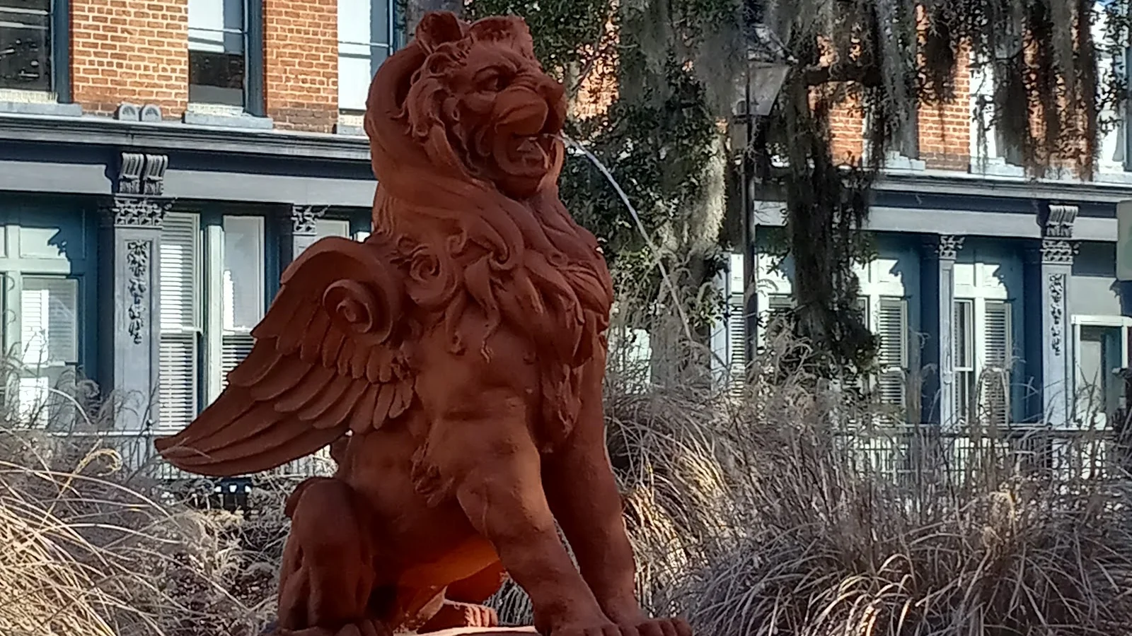 Savannah