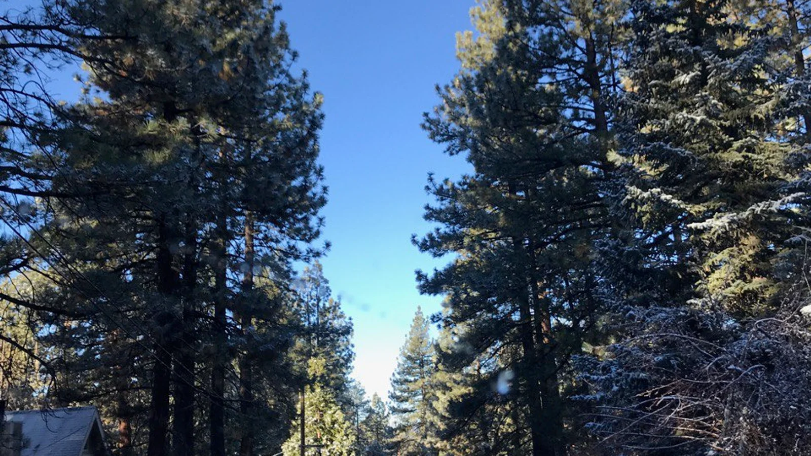 Big Bear