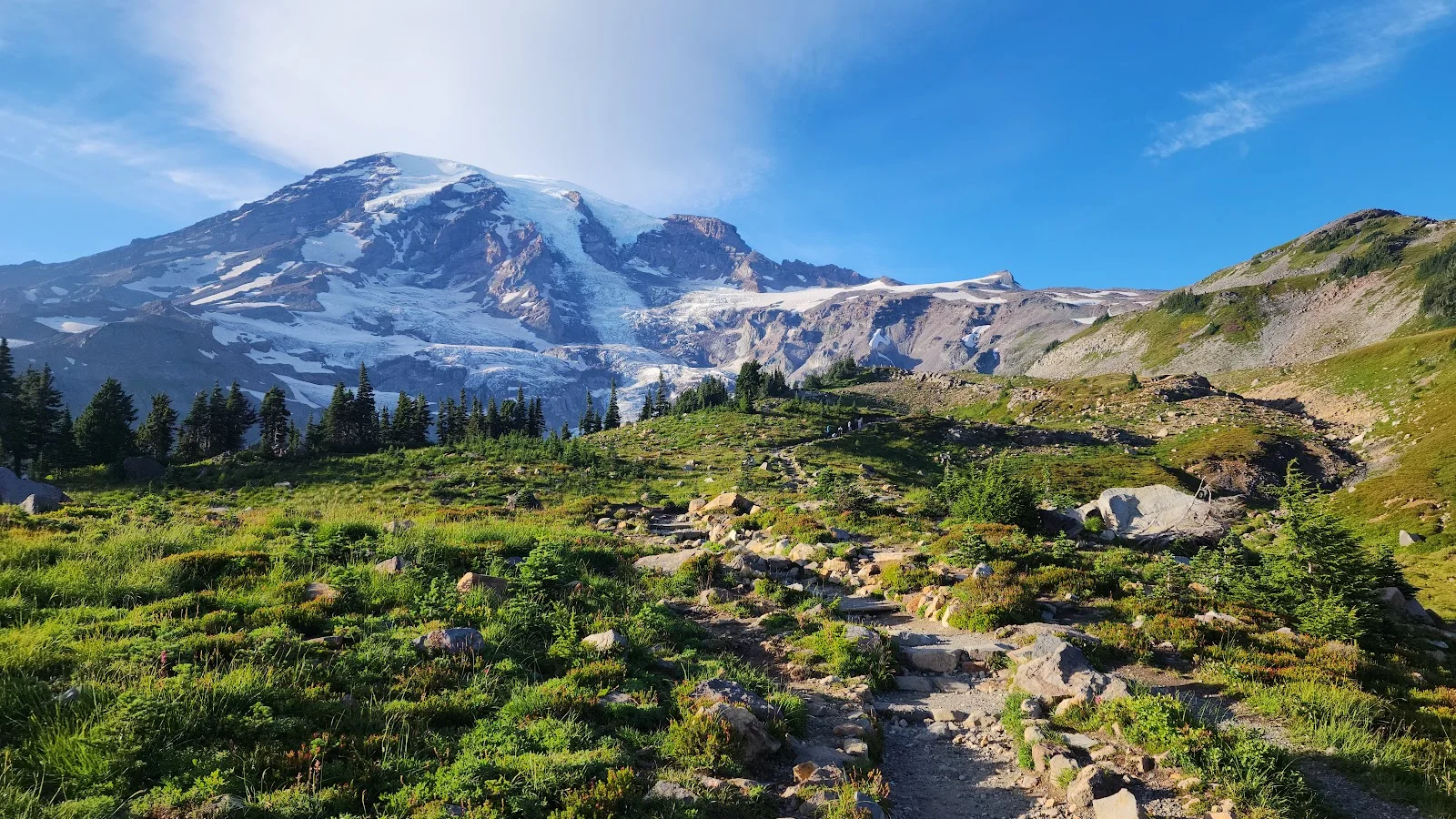 Mt Rainier National Park