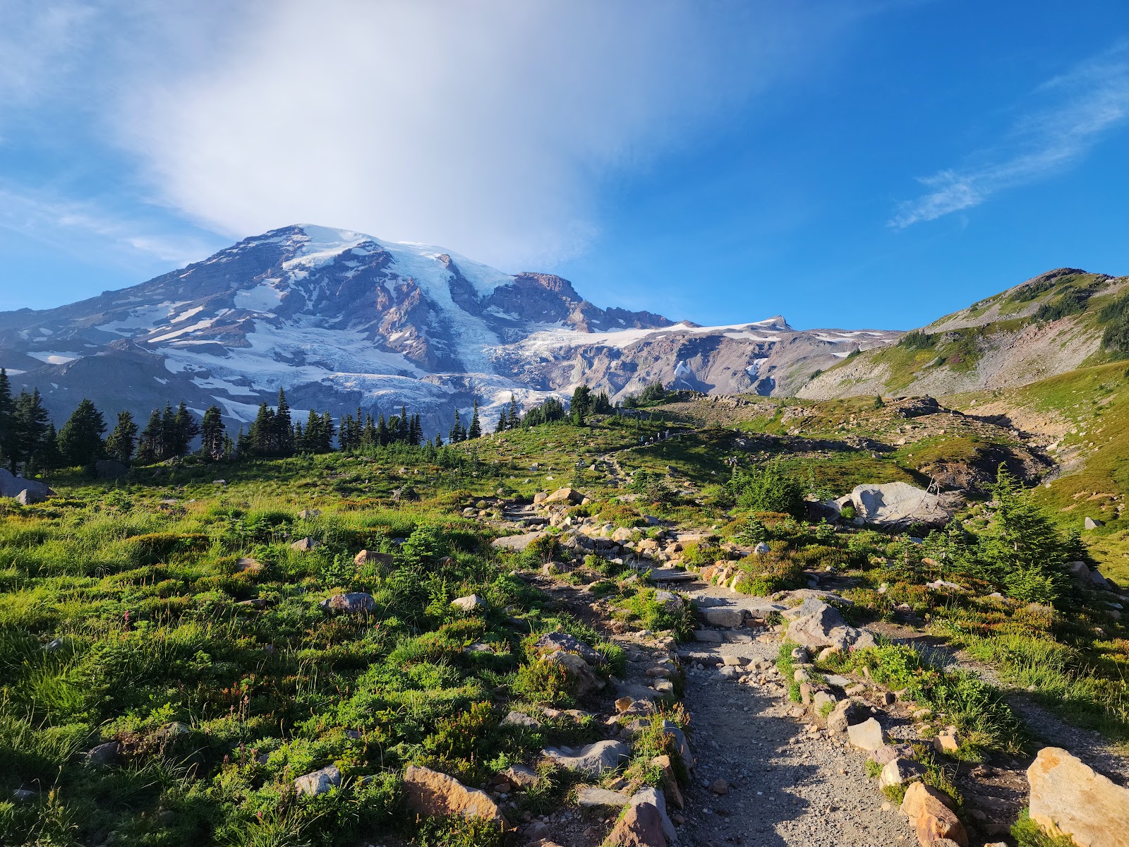 Mt Rainier National Park