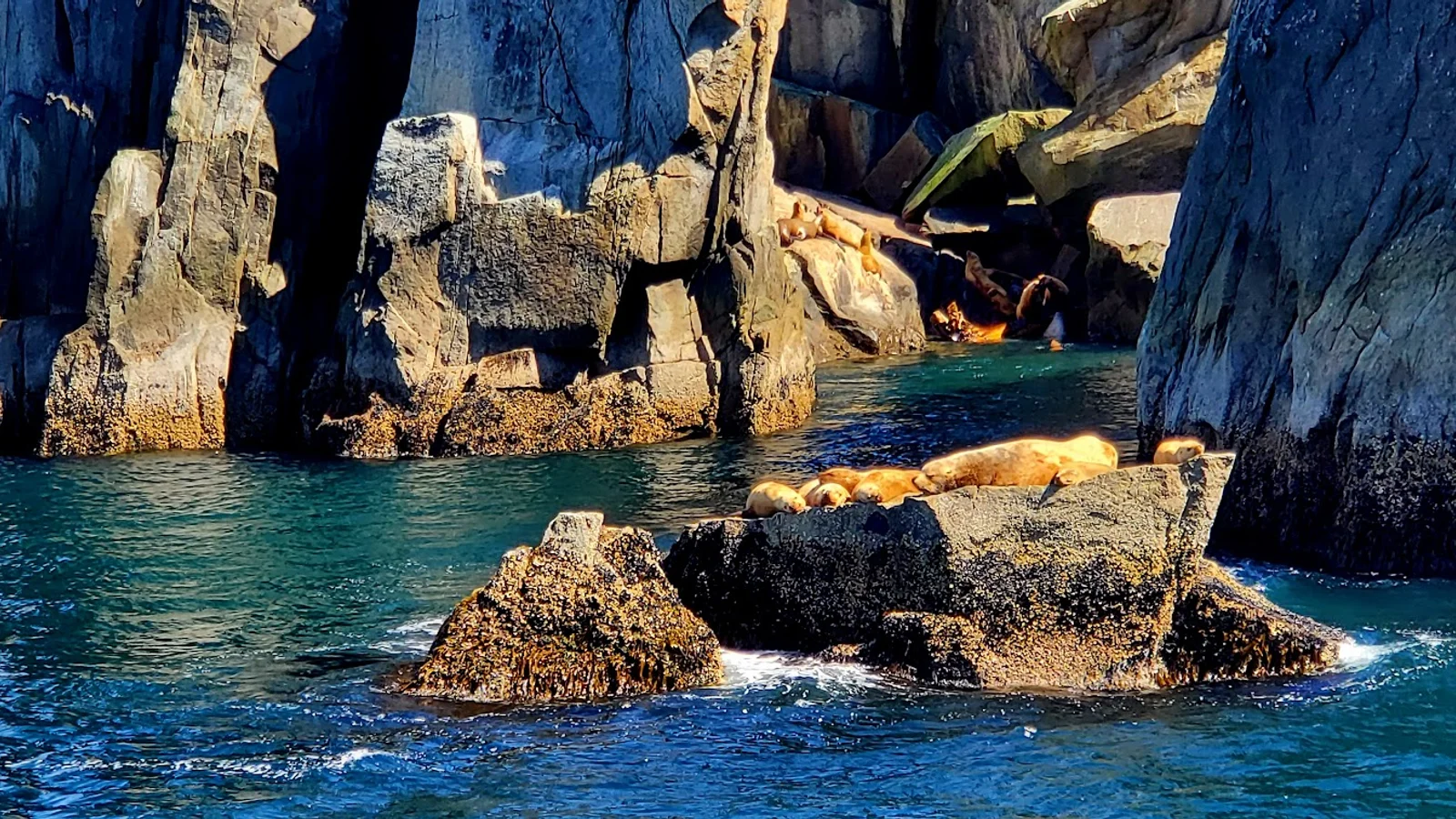 Seward