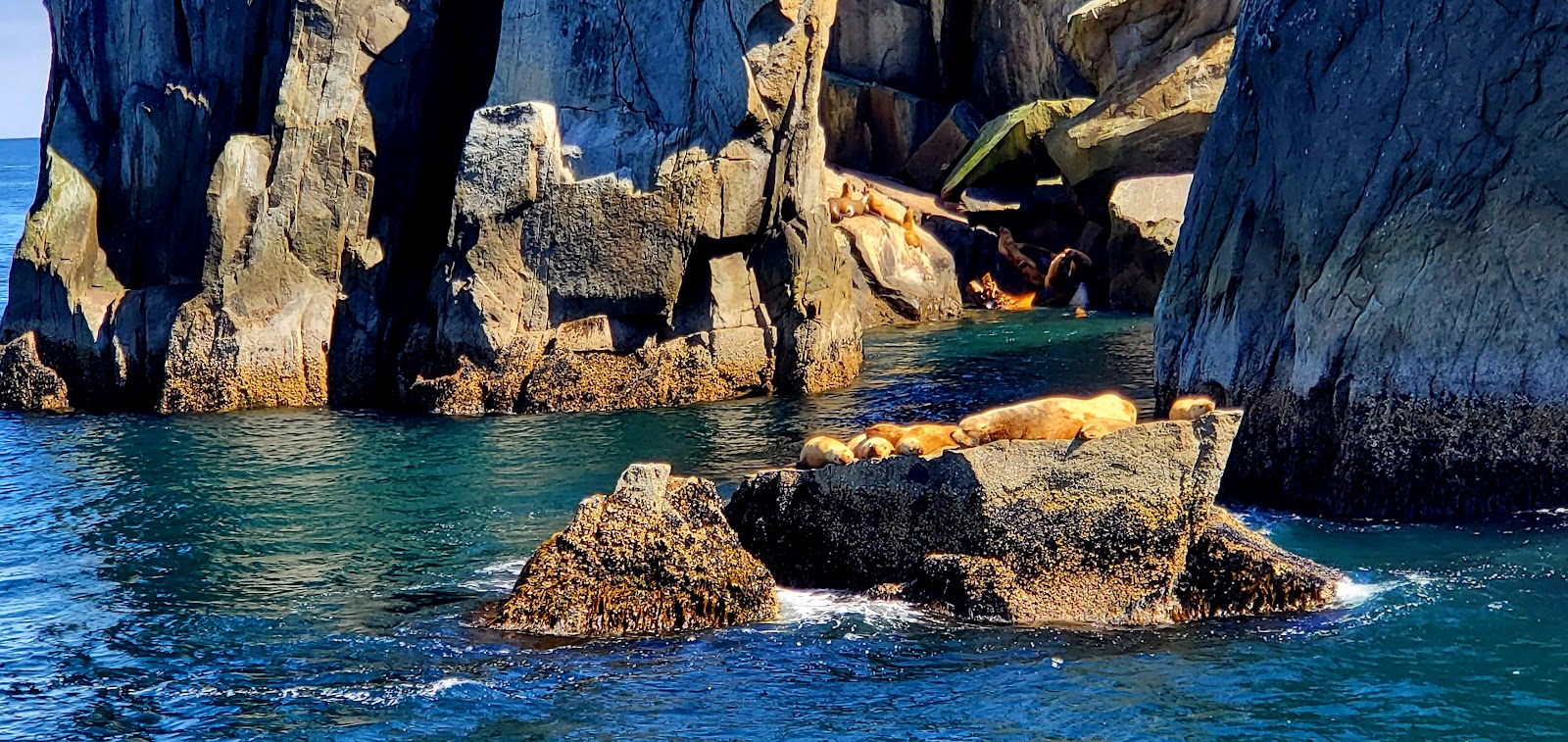 Seward