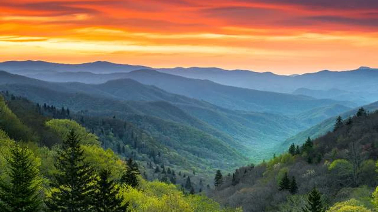 Great Smoky Mountains National Park