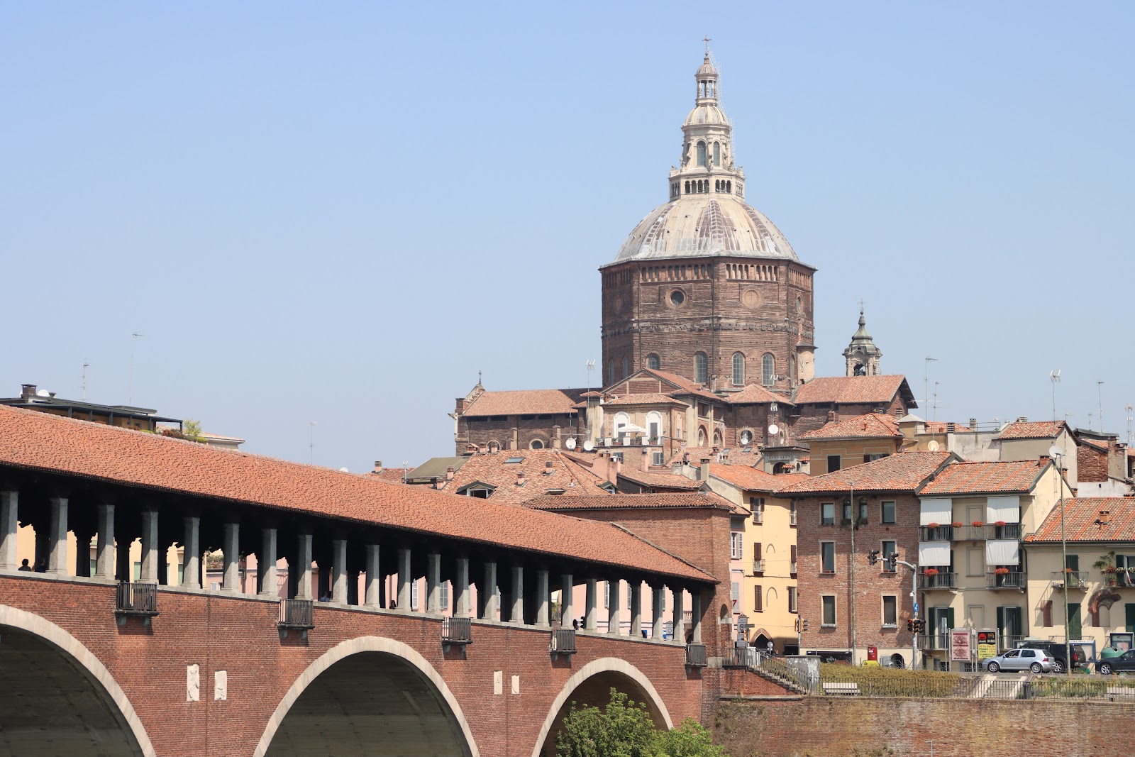 Pavia