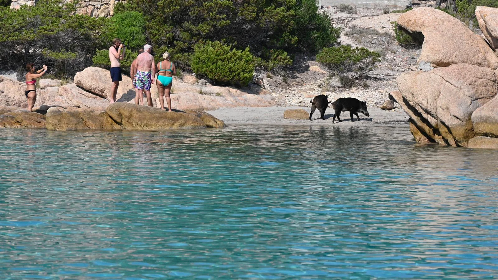 La Maddalena