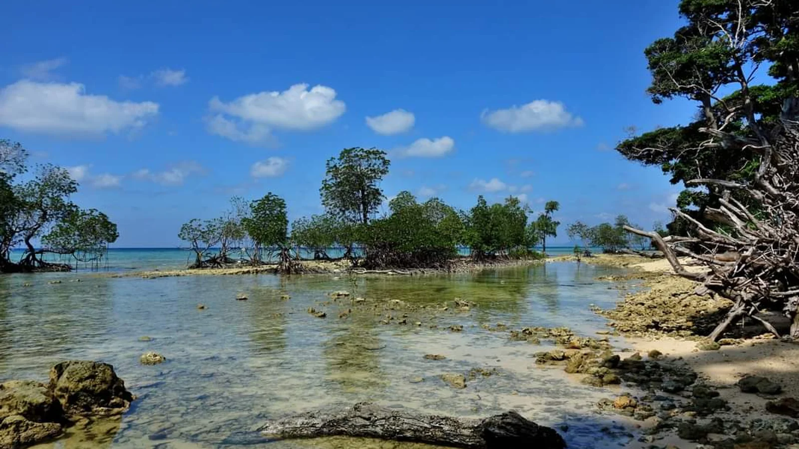 Neil Island