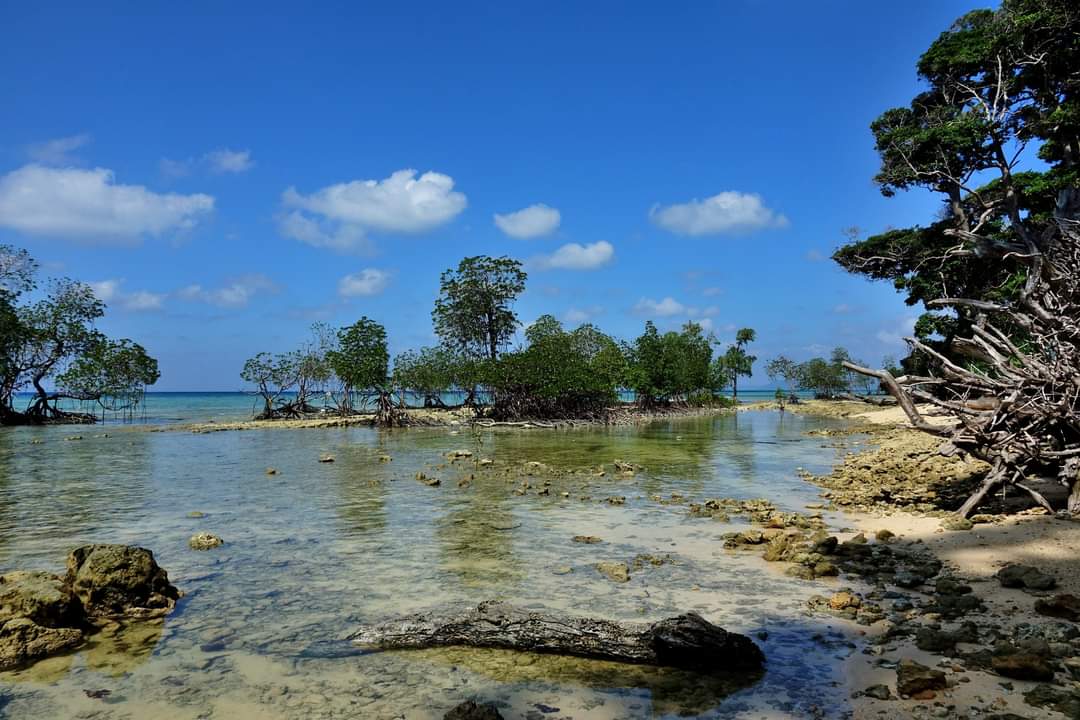 Neil Island