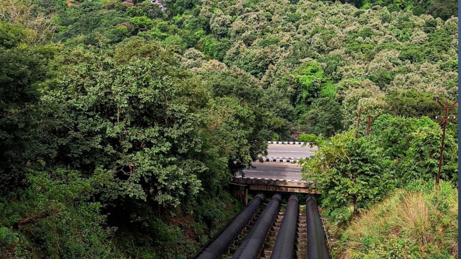 Thekkady