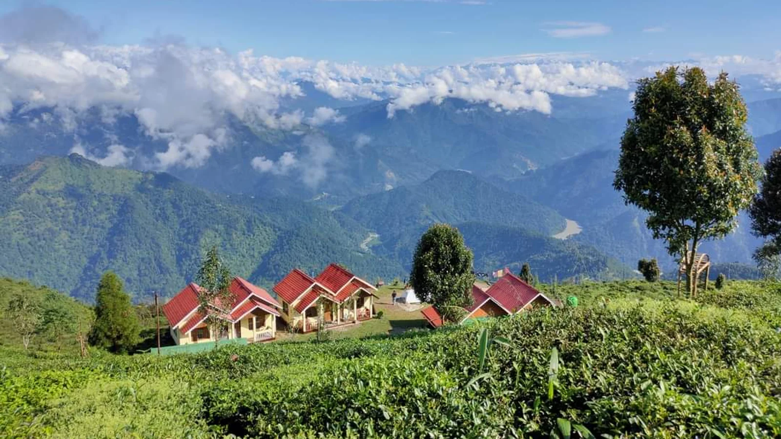 Darjeeling