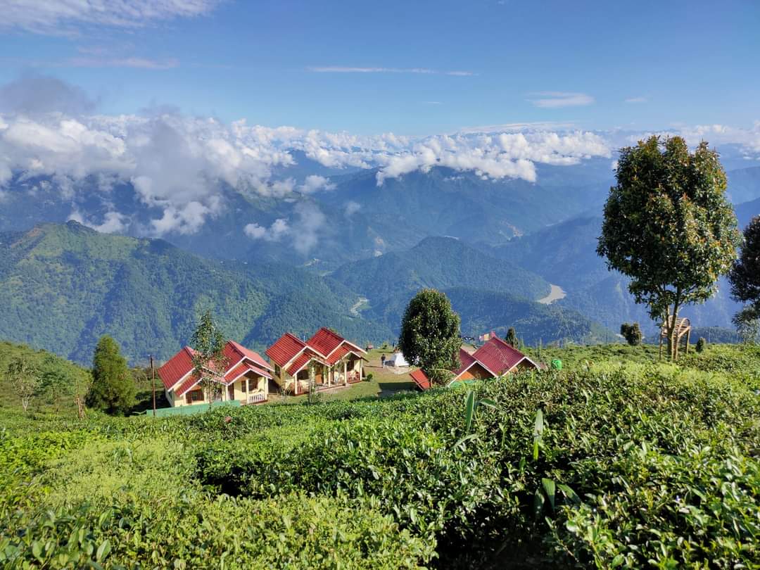 Darjeeling