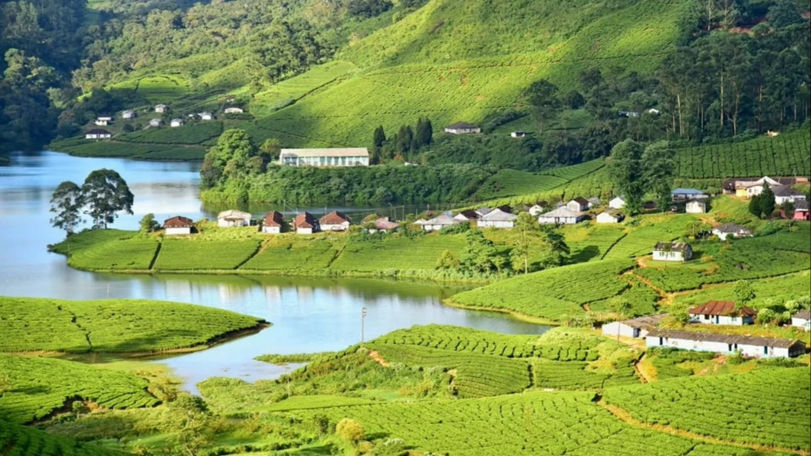 Munnar