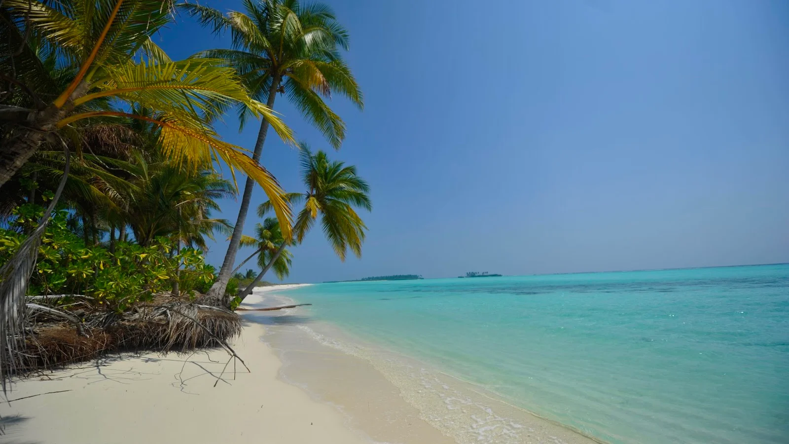 Havelock Island