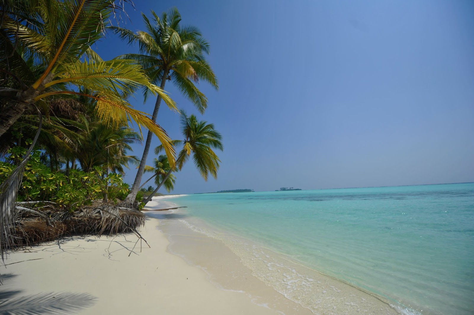 Havelock Island