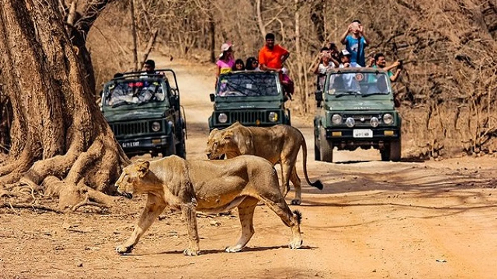 Sasan Gir