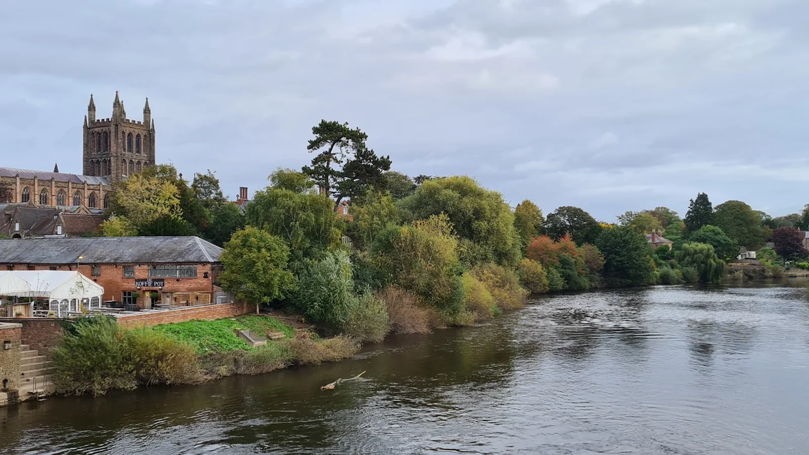 Hereford