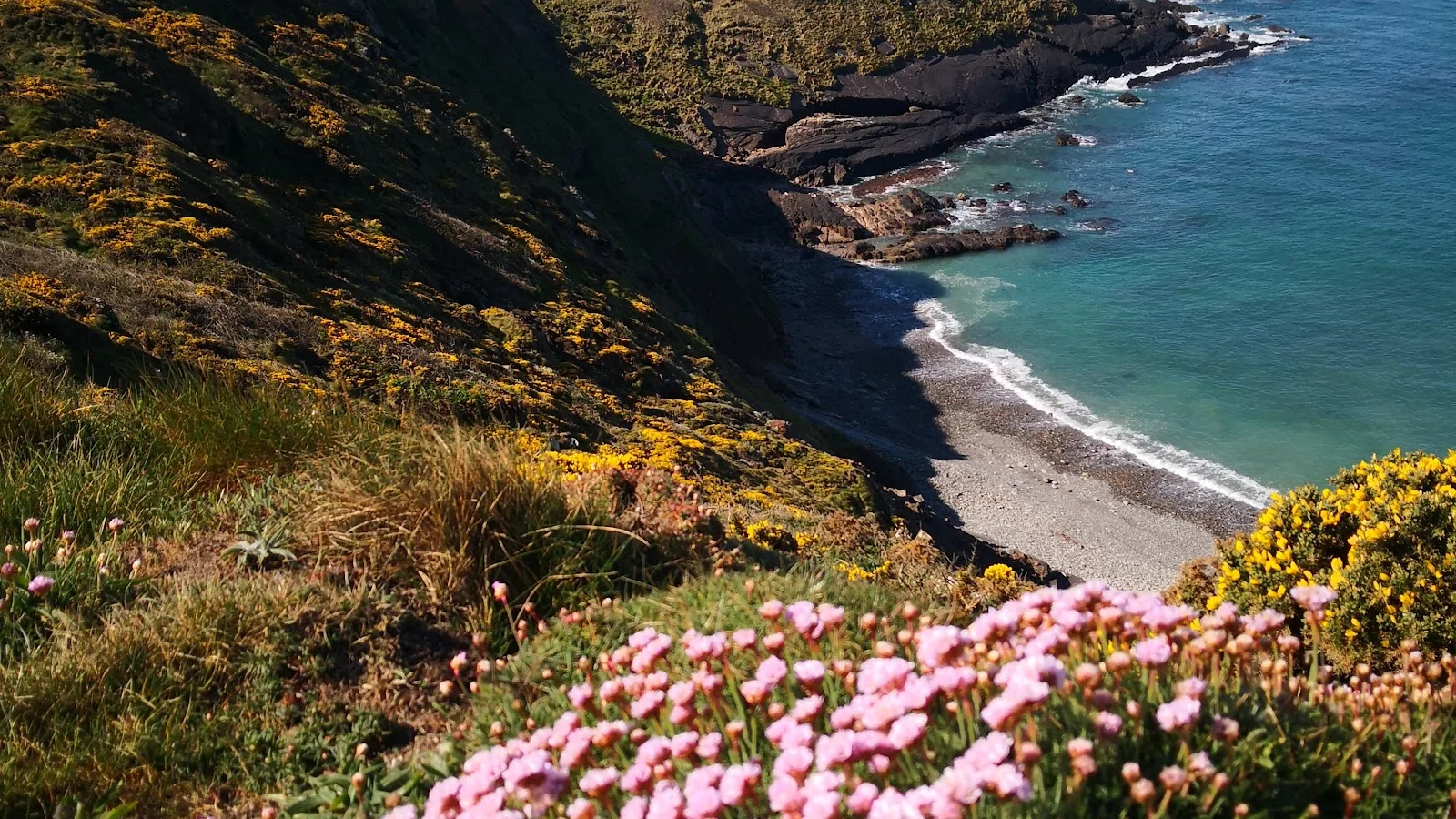 Devon