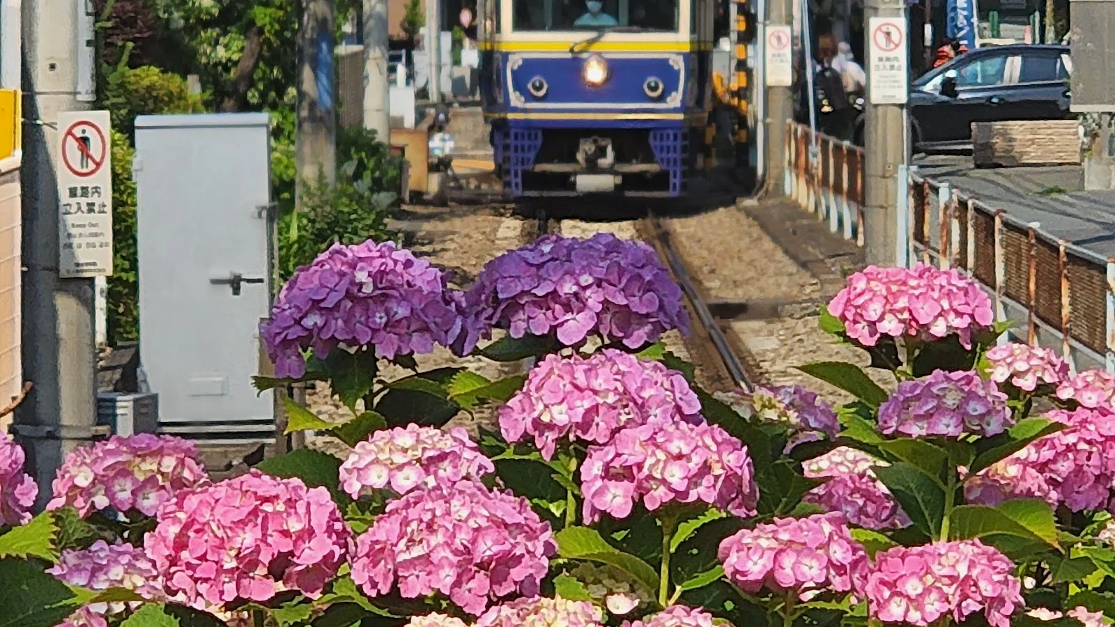 Kamakura