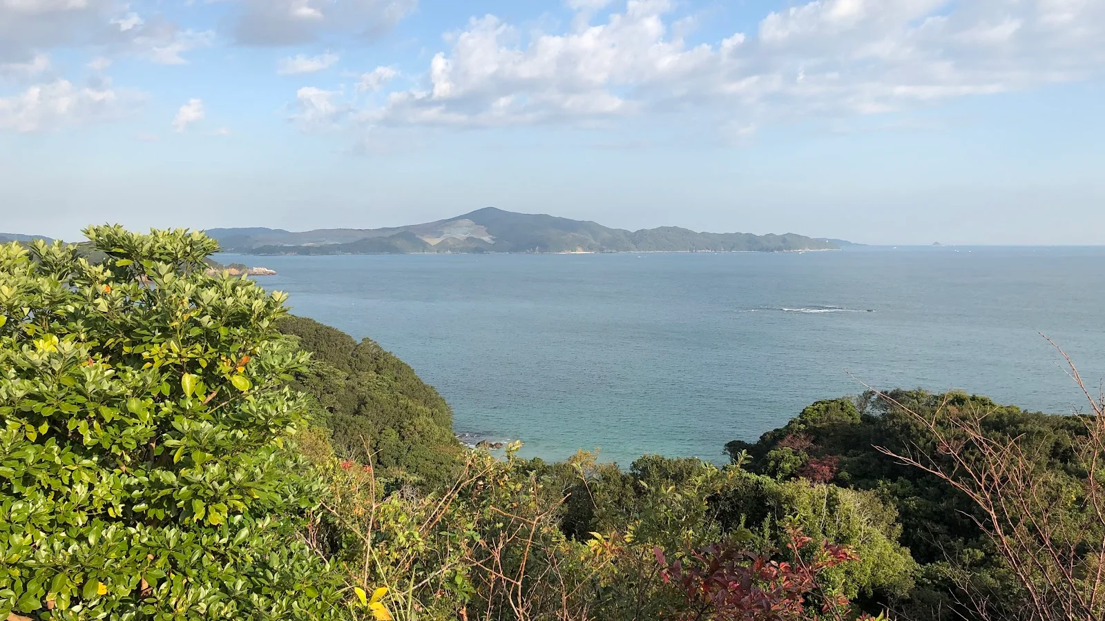 Toba