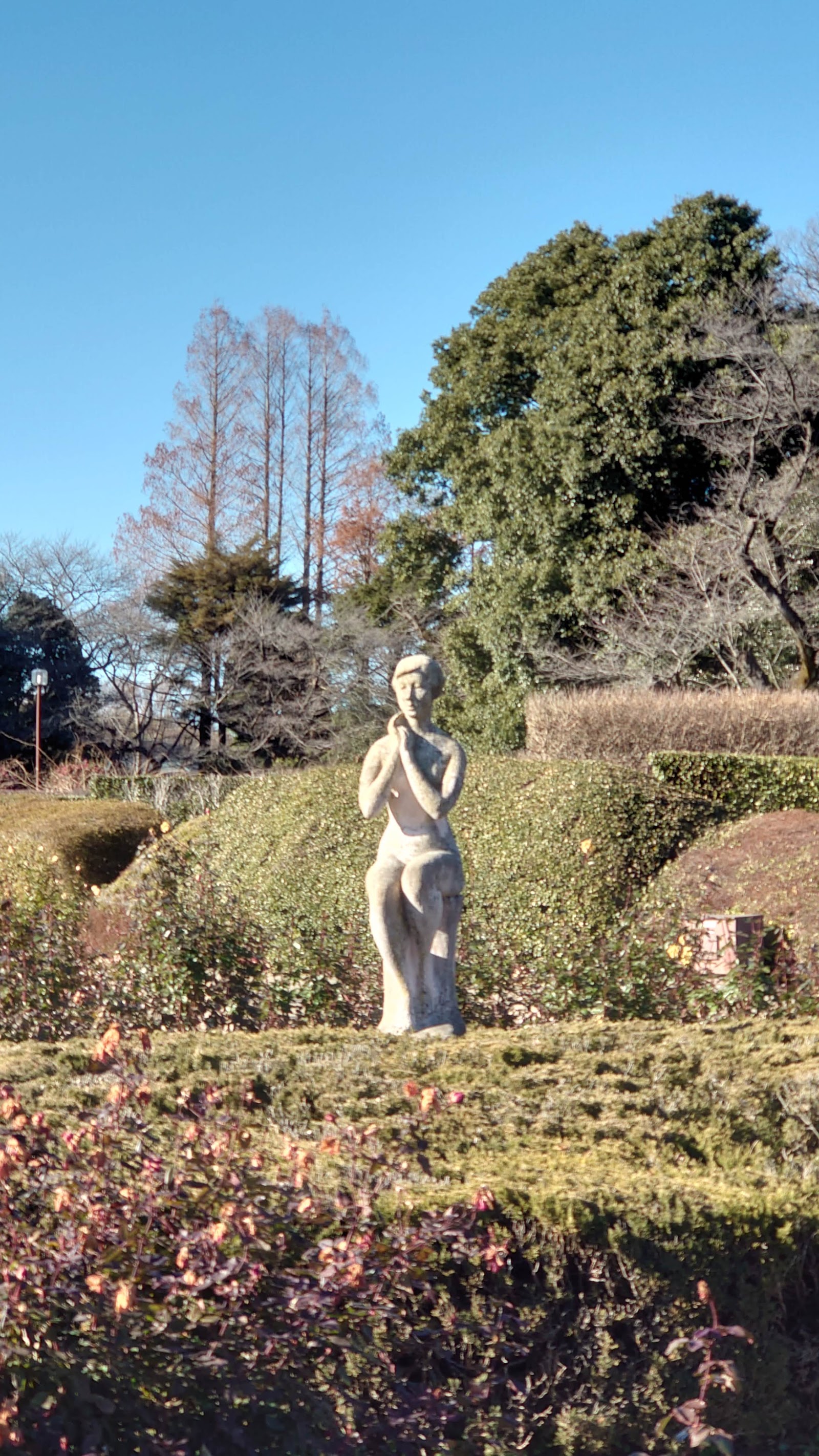 Musashino