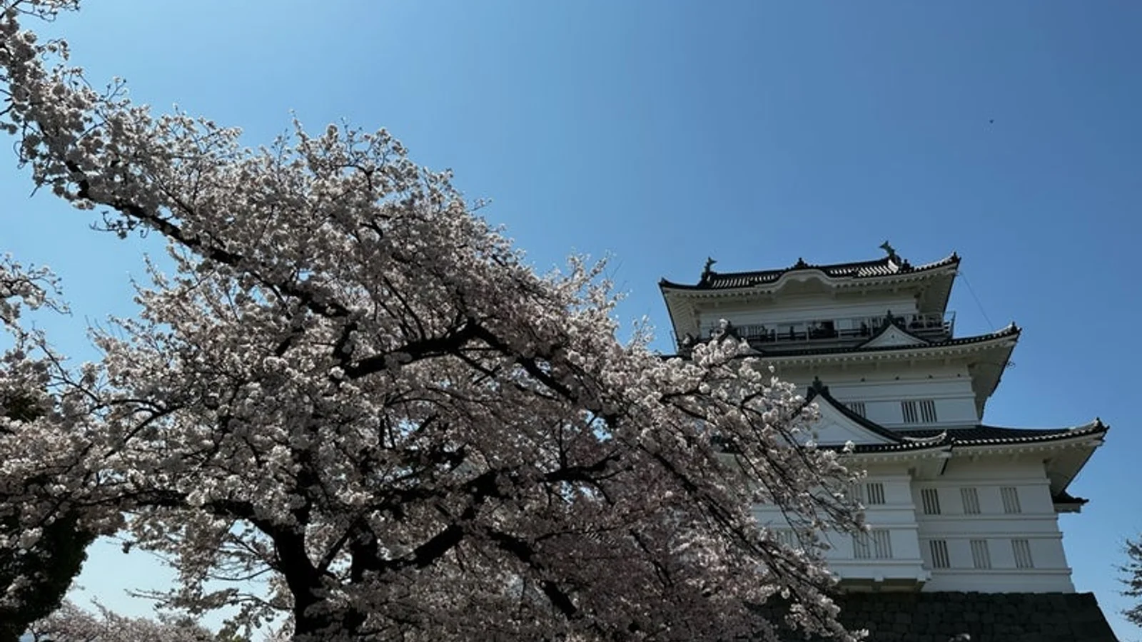 Odawara