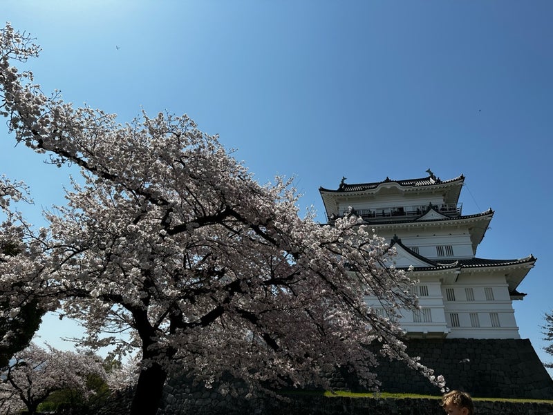 Odawara
