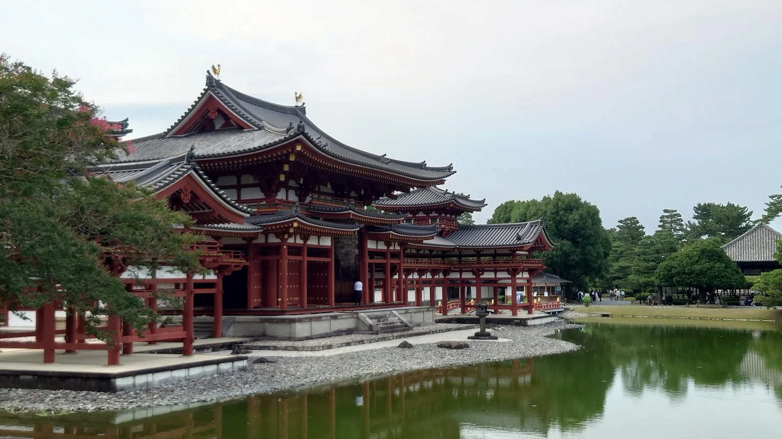 Uji