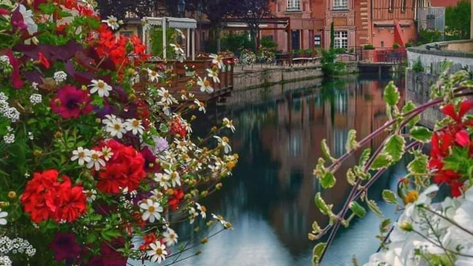 Colmar