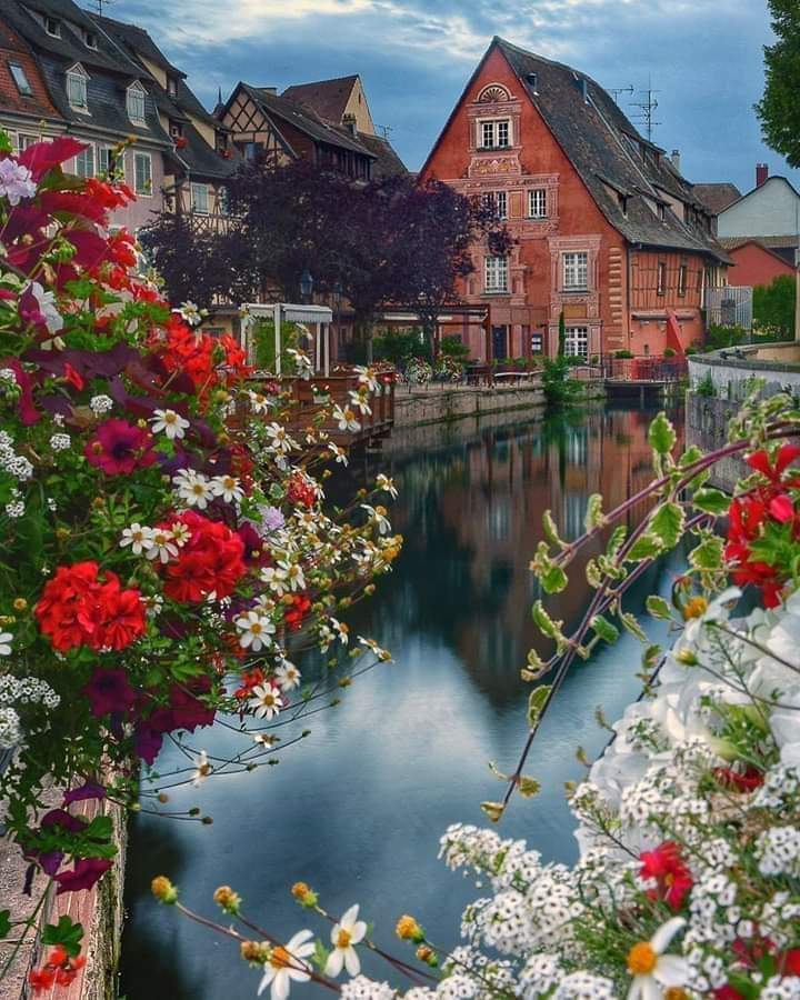 Colmar