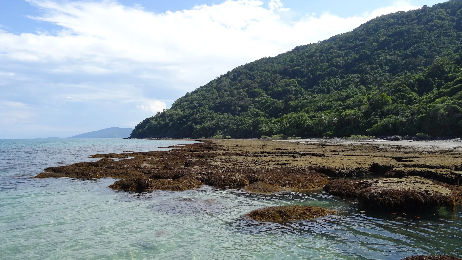 Cape Tribulation