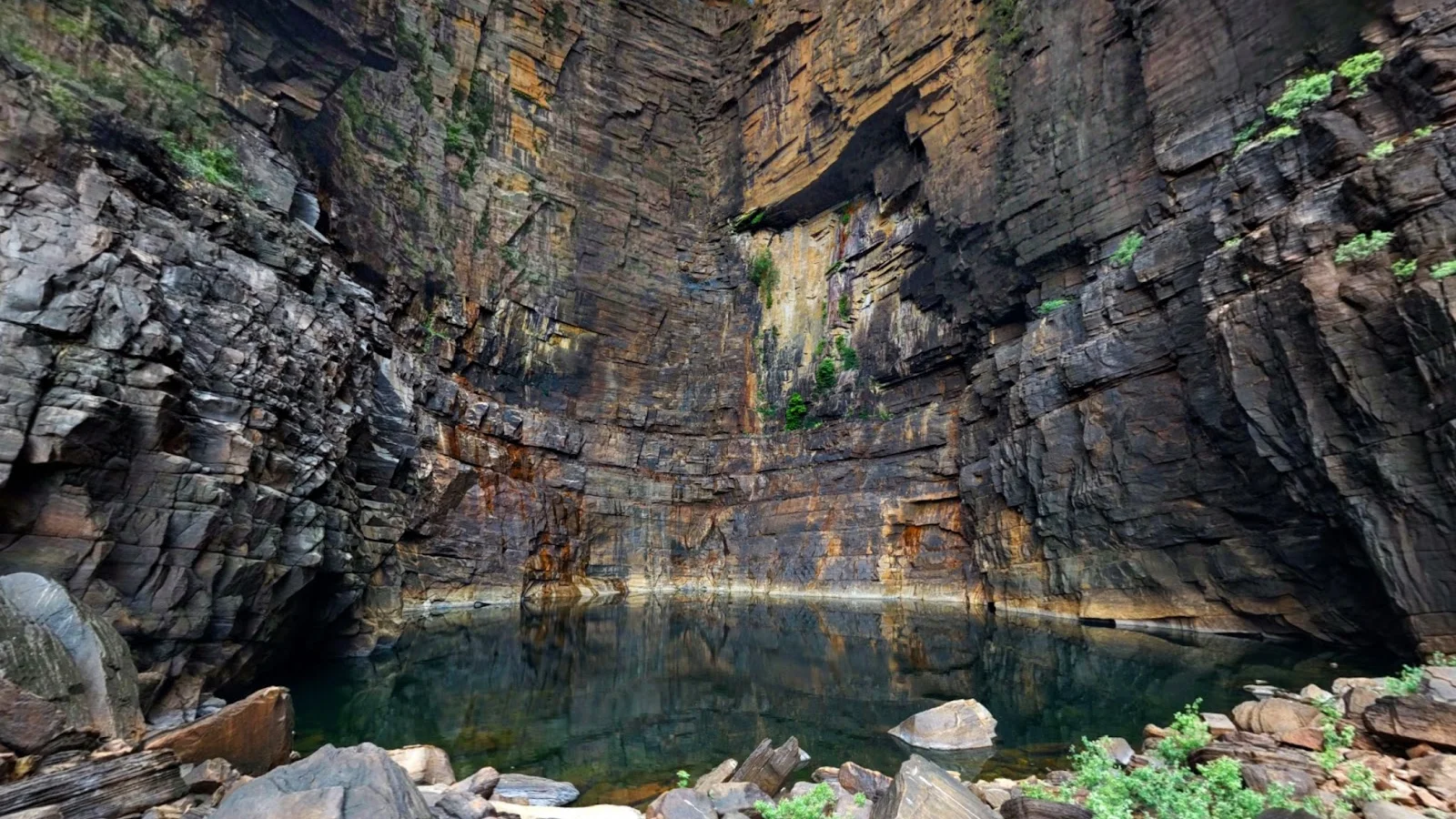 Kakadu