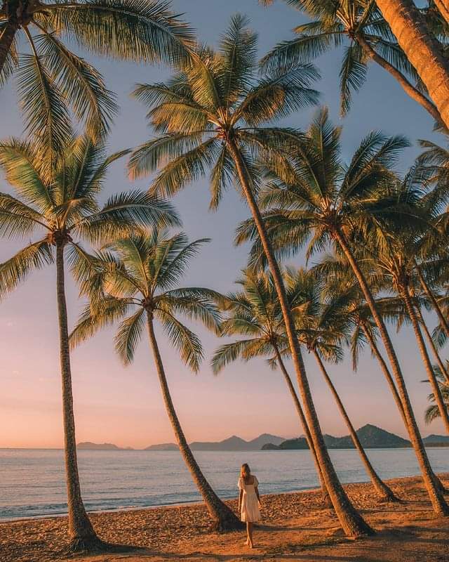 Palm Cove