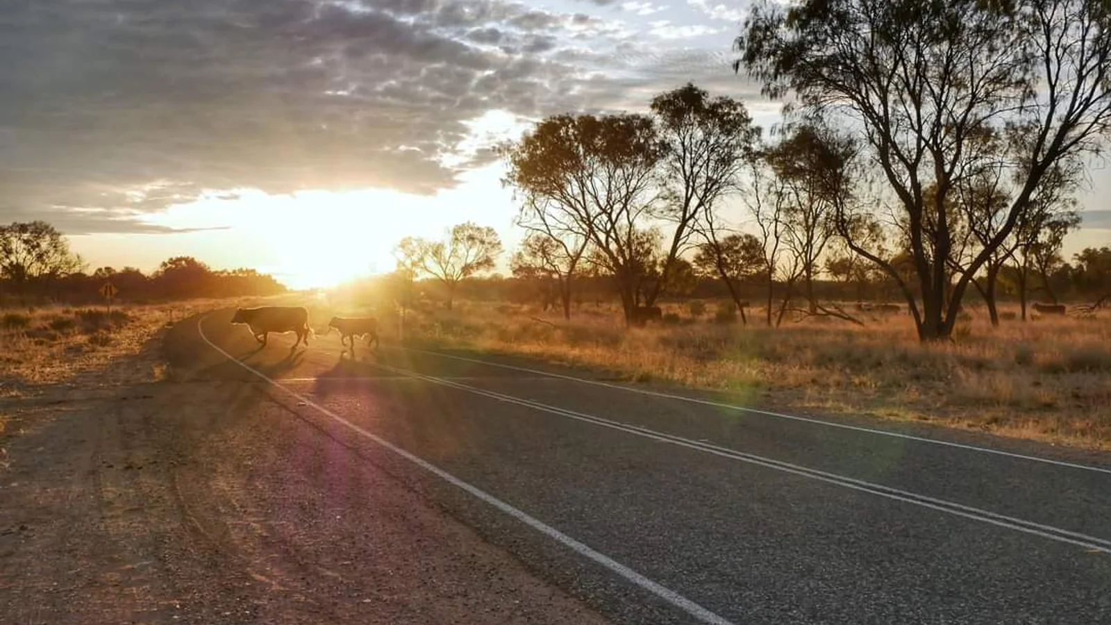 Alice Springs