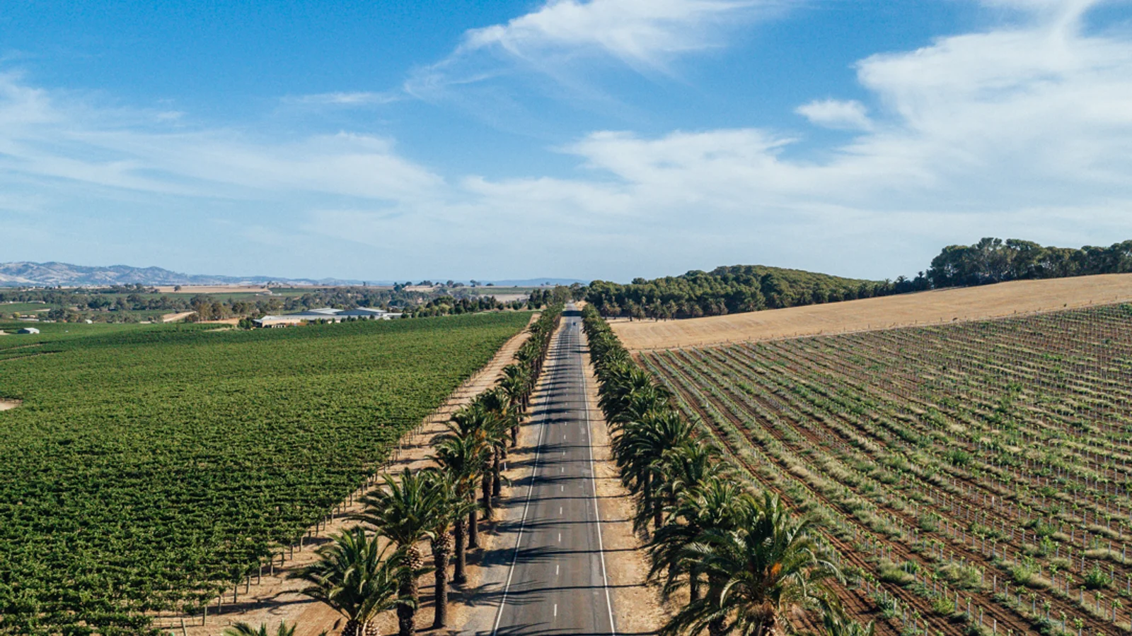 Barossa Valley