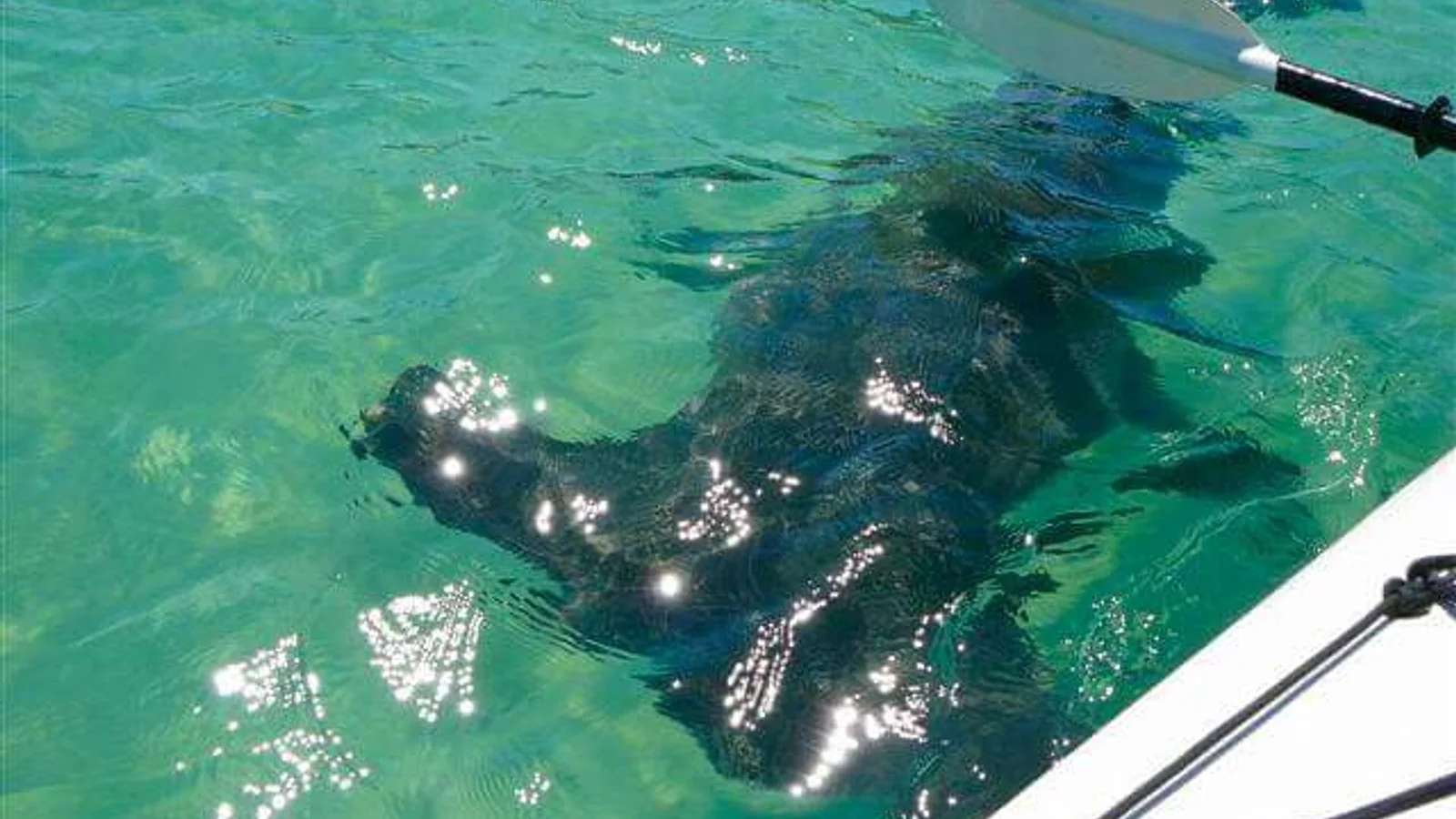 Moreton Island