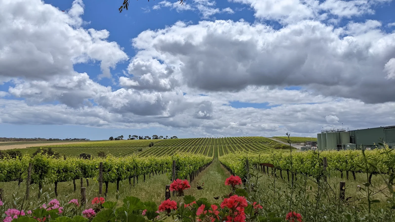 McLaren Vale