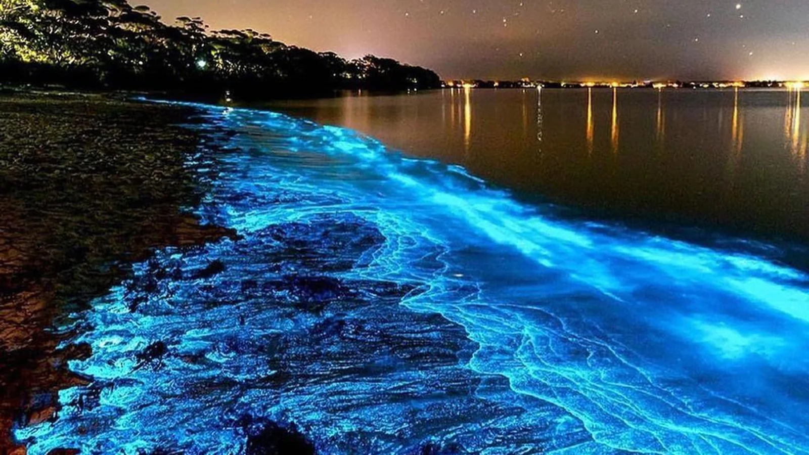 Jervis Bay