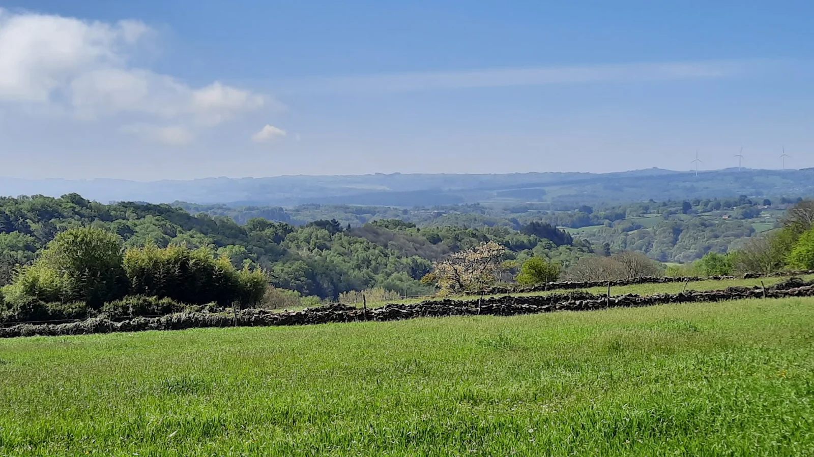Sarria