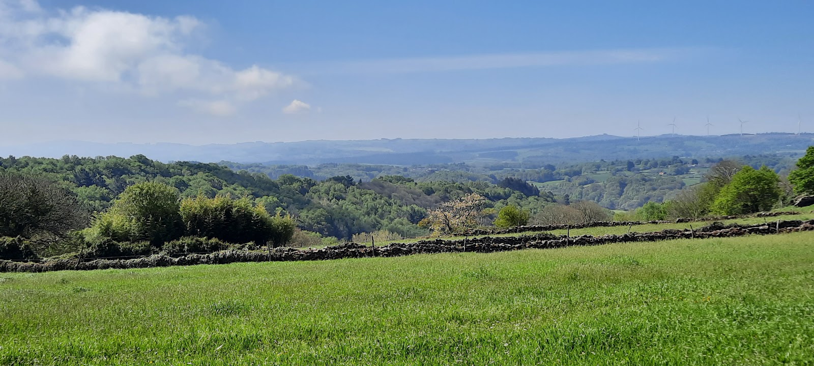Sarria