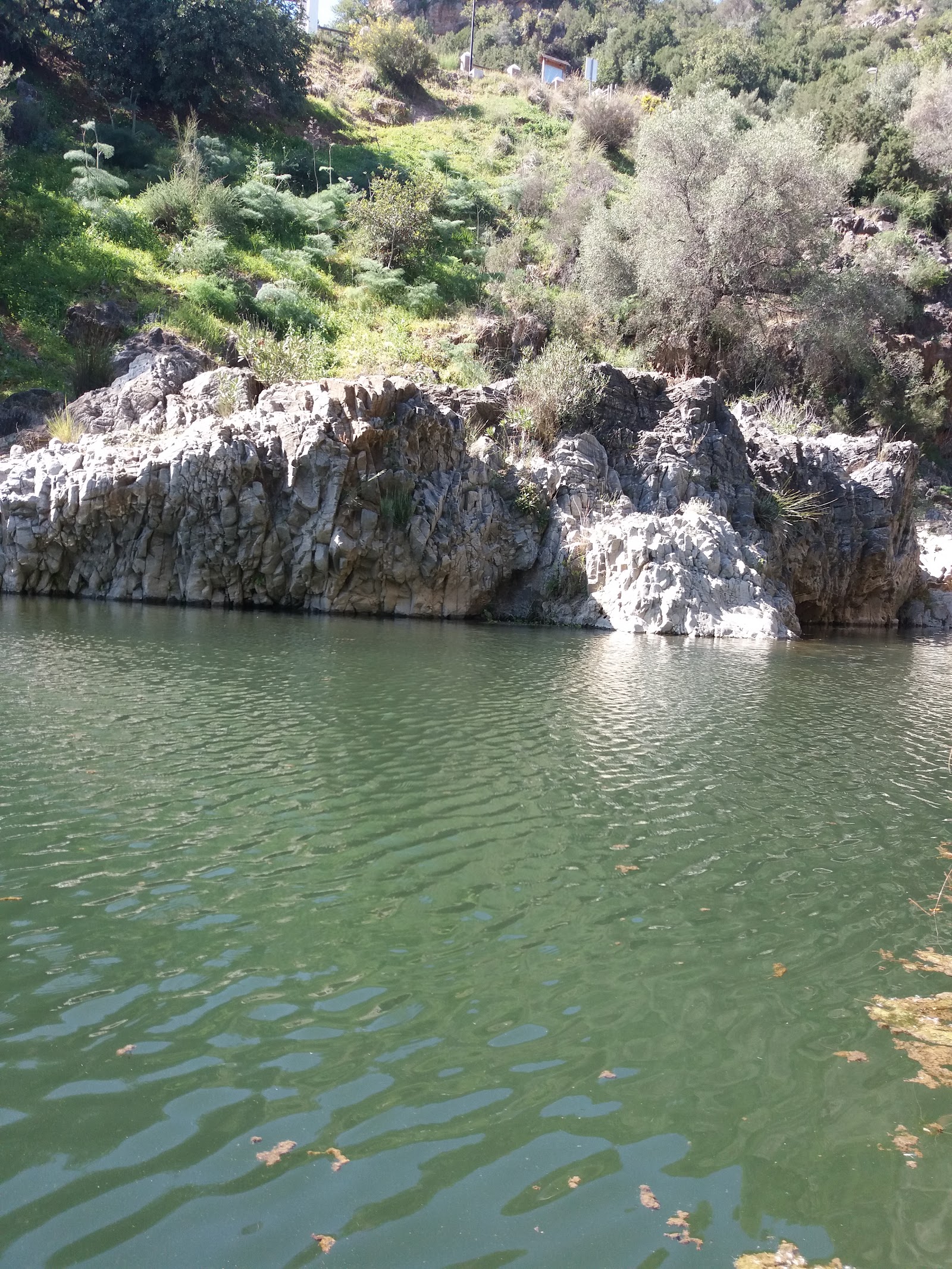 Benahavis