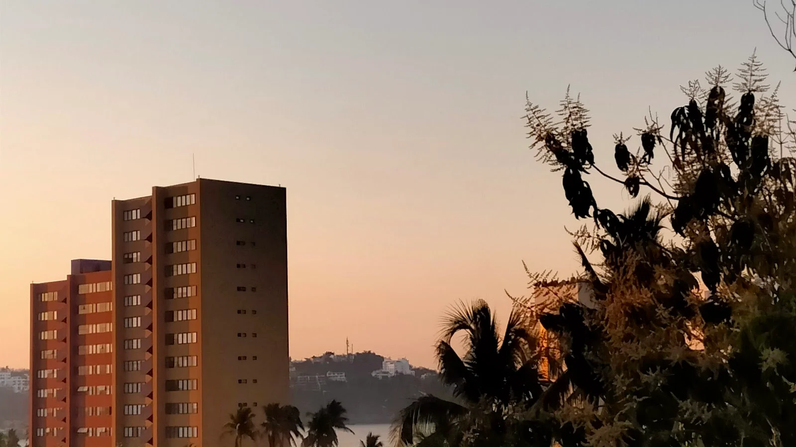 Manzanillo