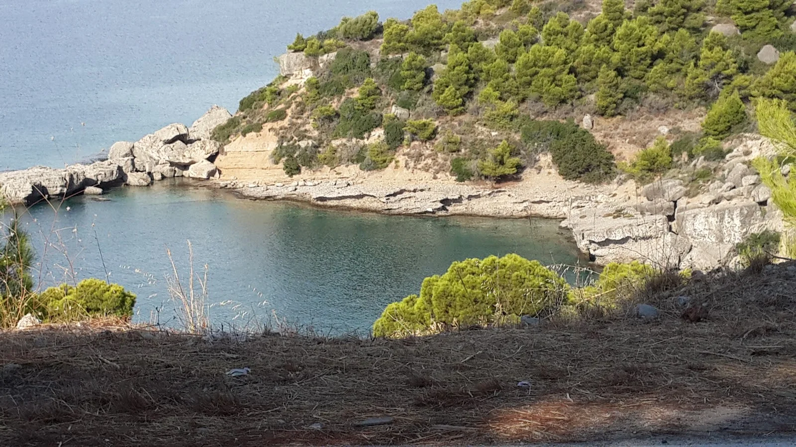 Spetses