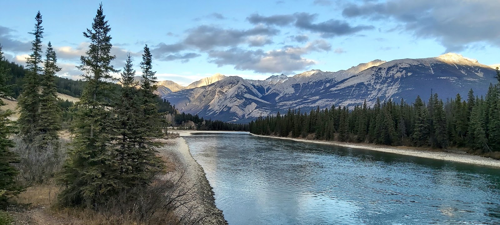 Jasper