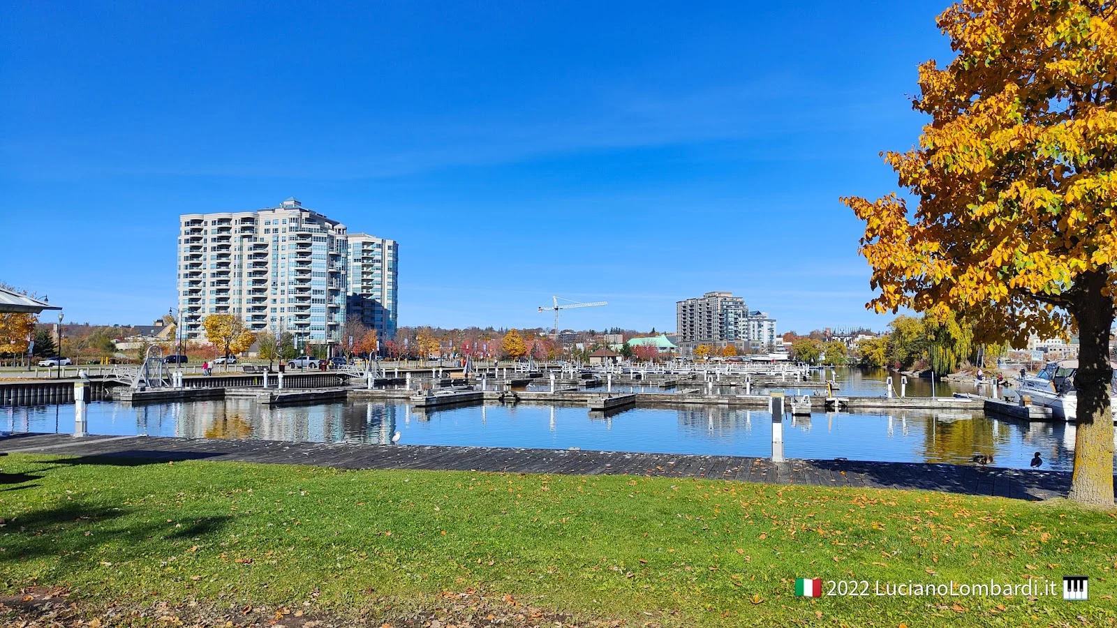 Barrie