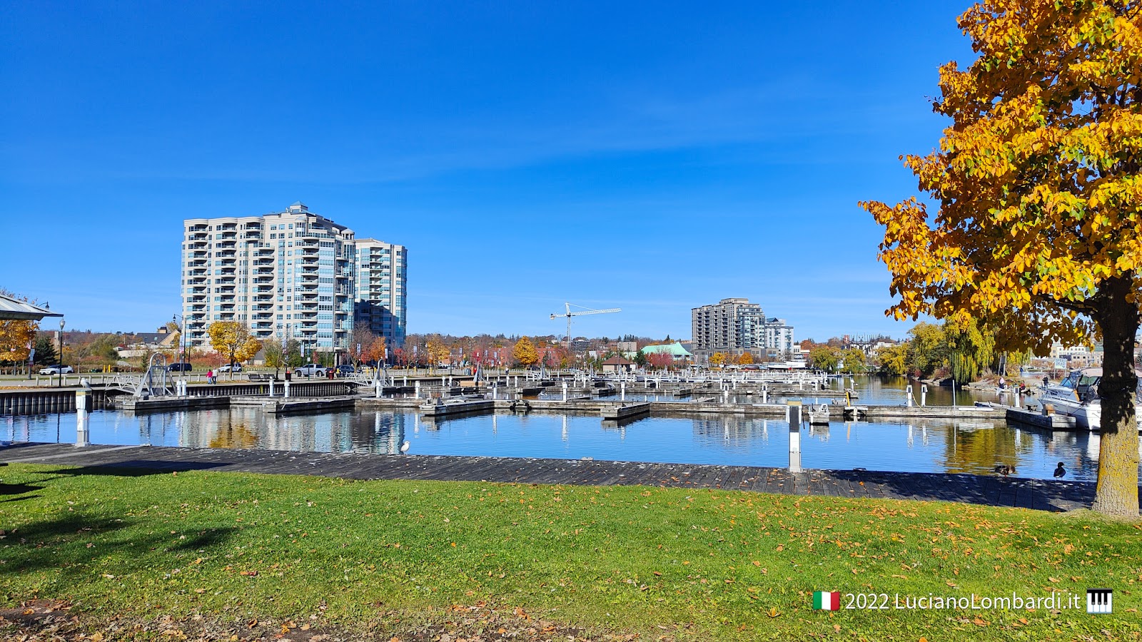 Barrie